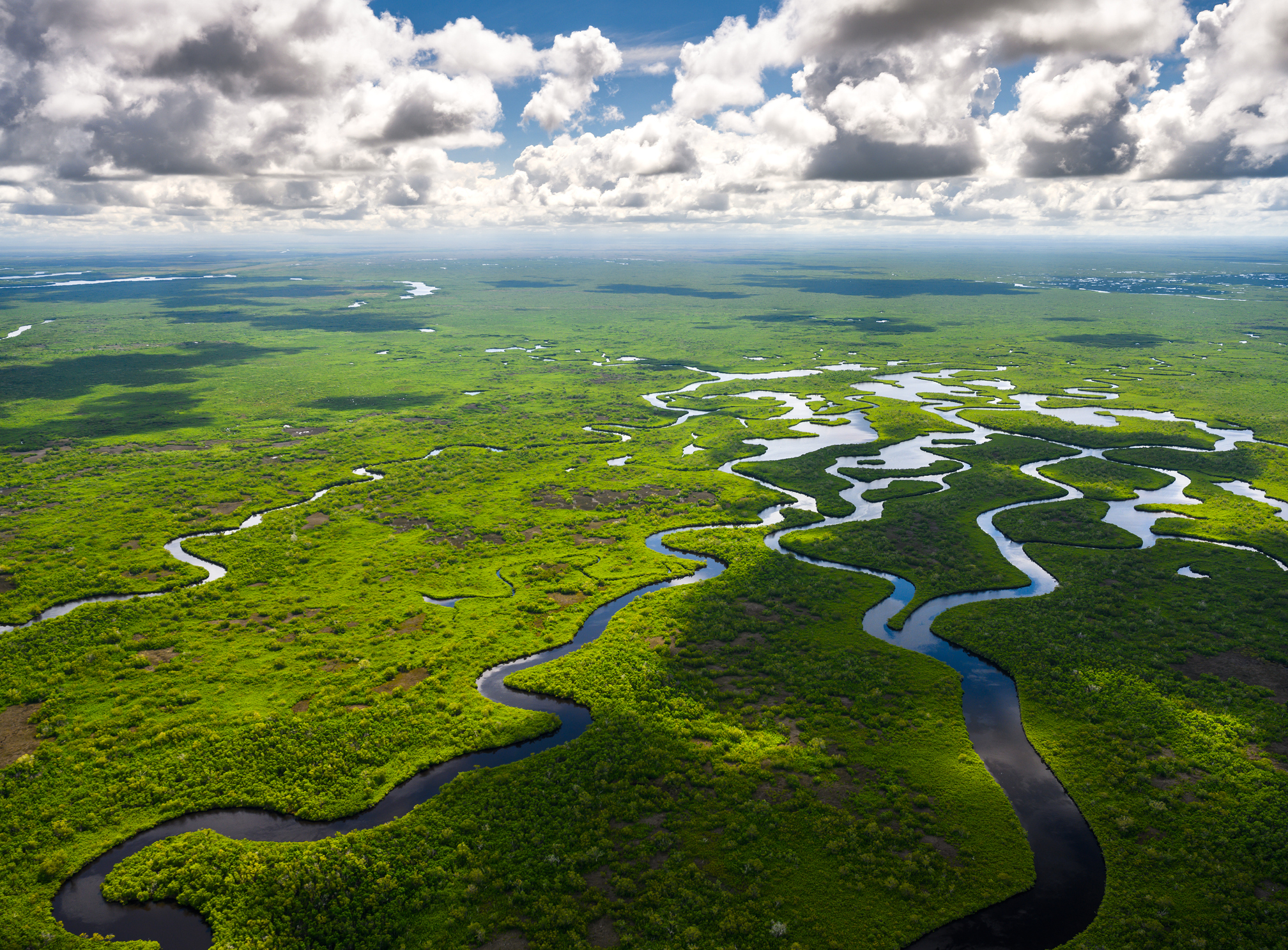 fla-agrees-to-acquire-20k-acres-of-everglades-wetlands-florida-realtors