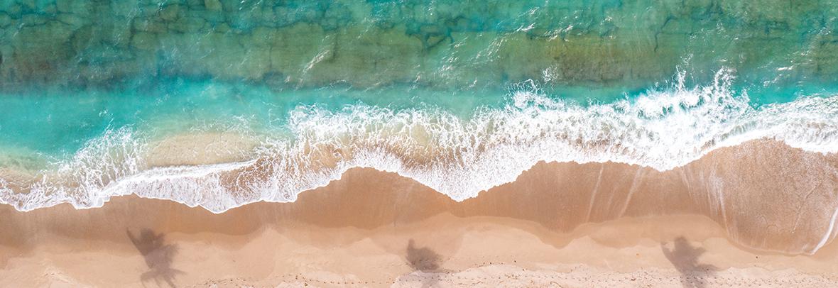 Photo of the shoreline of Florida