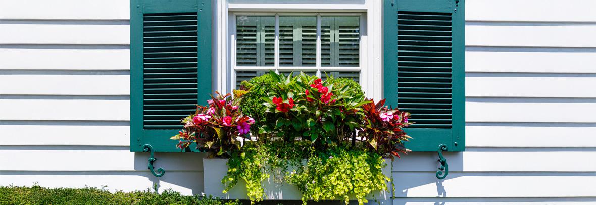 window box and shutters at exterior home window