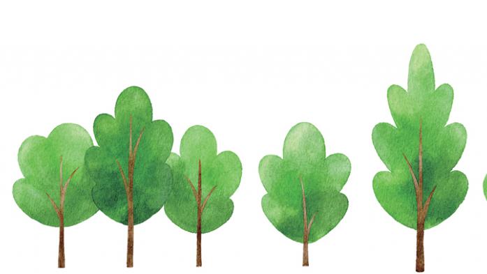 Line of trees in watercolor style