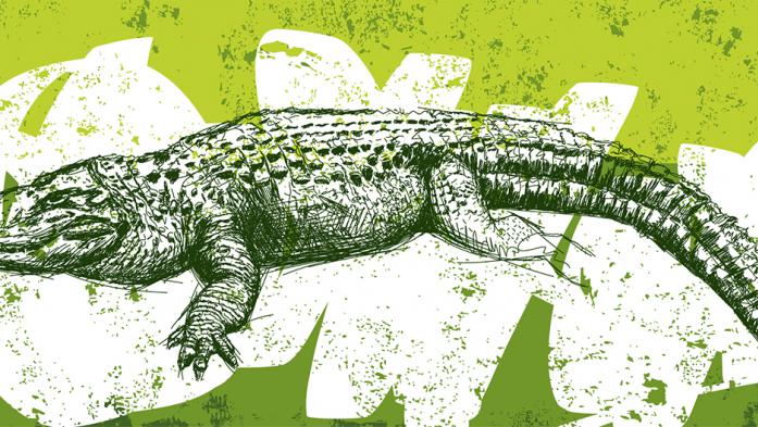 Illustration of an alligator in green on a distressed background