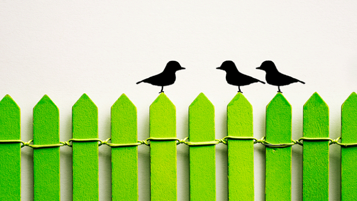 photo illustration of 3 black birds sitting on a green Pickett fence, one bird facing two birds